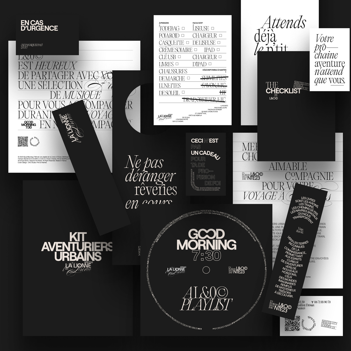 Image for La Lionne et l'Oiseau