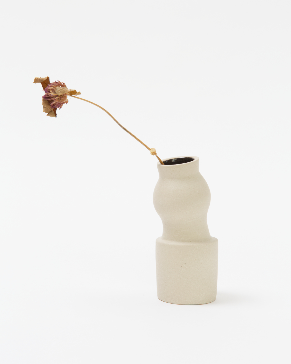 Image for Growing Sculpture