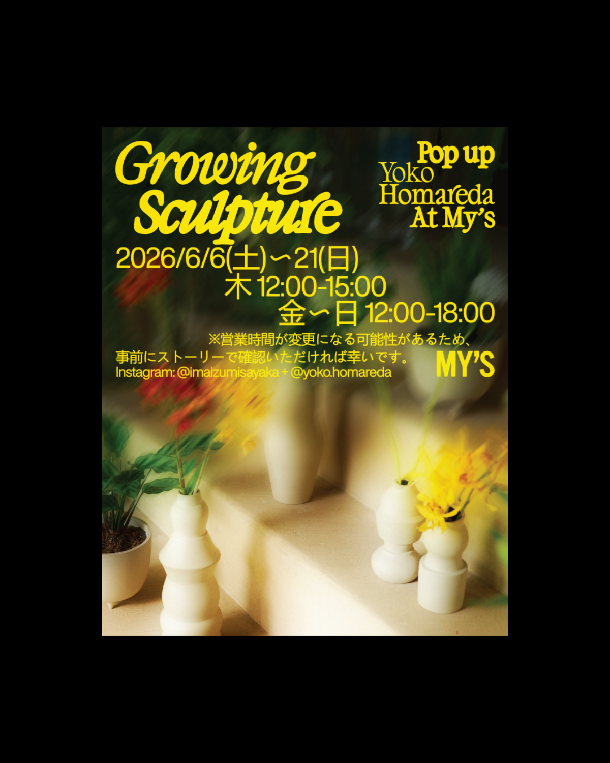 A poster for Yoko Homareda’s Growing Sculpture pop-up at MY’S in June 2026, featuring white ceramic sculptures and floral arrangements against a blurred green background with bold yellow typography in Helvetica Now and Da Vinci.